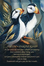 Spirit Of The Animals Oracle Deck