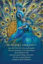 Spirit Of The Animals Oracle Deck