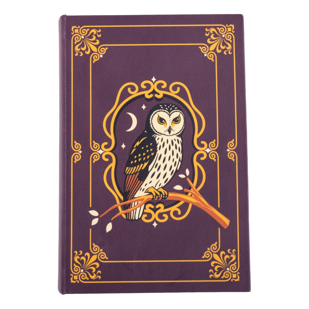 Supervisor Owlfred Gift Pack | Crew Sock and Book Box