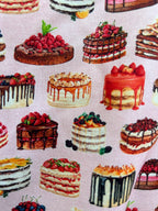 Cake Skater Skirt