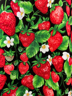 Strawberries A-line Skirt - XS only