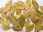 Bay Leaves – Ritual Herb for Spells, Manifestation & Protection -- by Moon Water Apothecary!