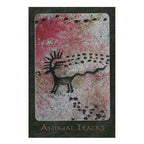 A Shaman Oracle: 40 Mythical Soul Images from the Indian Southwest