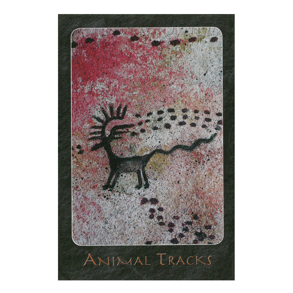 A Shaman Oracle: 40 Mythical Soul Images from the Indian Southwest