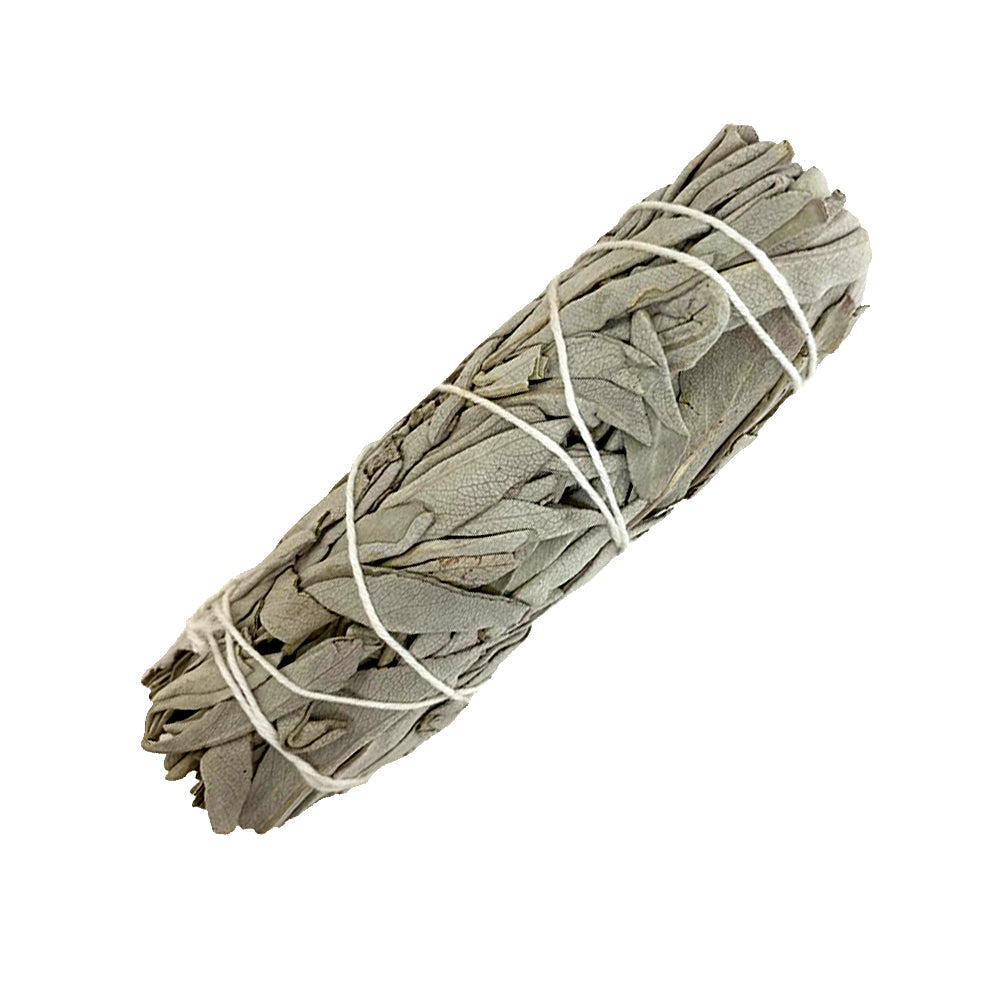 California White Sage Smudge Stick 4"