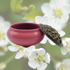 Ceramic Incense Burner Bowl with Lid - Pink - 3.75"
