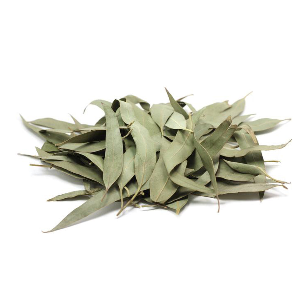 Eucalyptus Leaves Whole Herbs 1oz