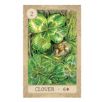 Fairy Tale Lenormand in a Tin