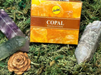 Sree Vani Masala Cones