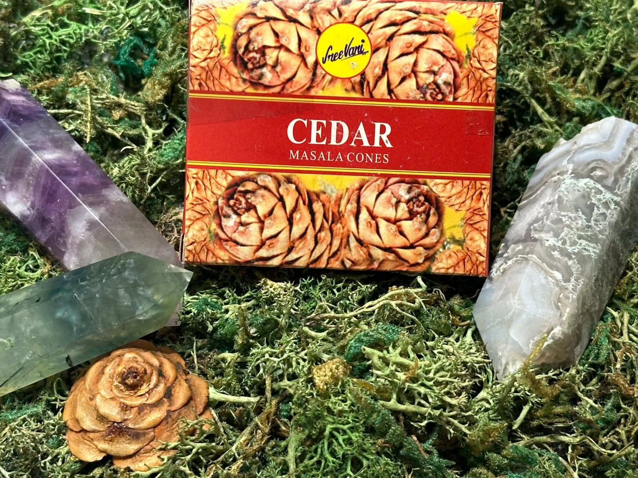 Sree Vani Masala Cones
