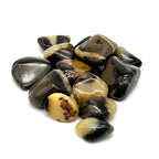 Septarian Tumbled Pocket Stone: The Dragon Stone