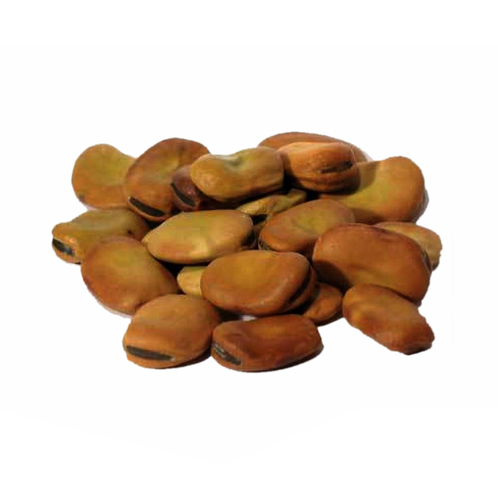 Mojo Wish Bean Herbs 1oz