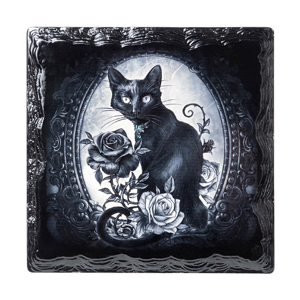 Paracelsus Coaster