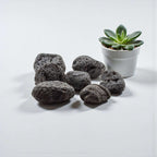 Tektite Rough Large Palm Stone Size Specimen