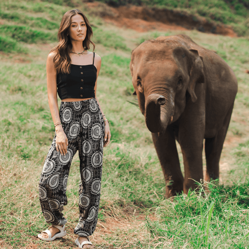 Bondi Harem Pants