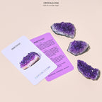 Brazilian Amethyst Cluster