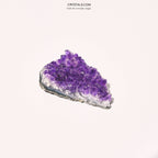 Brazilian Amethyst Cluster