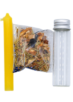 Court Case Spell Kit