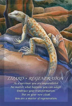 Spirit Of The Animals Oracle Deck