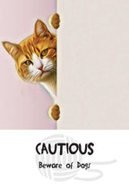 Cosmic Cat Wisdom Cards by  Barb Horn and Randy Crutcher