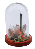 Green Tourmaline Terrarium in Glass Dome