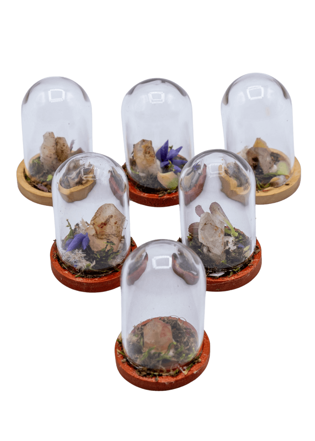 Hematoid Crystal Terrarium in Glass Dome