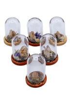 Hematoid Crystal Terrarium in Glass Dome