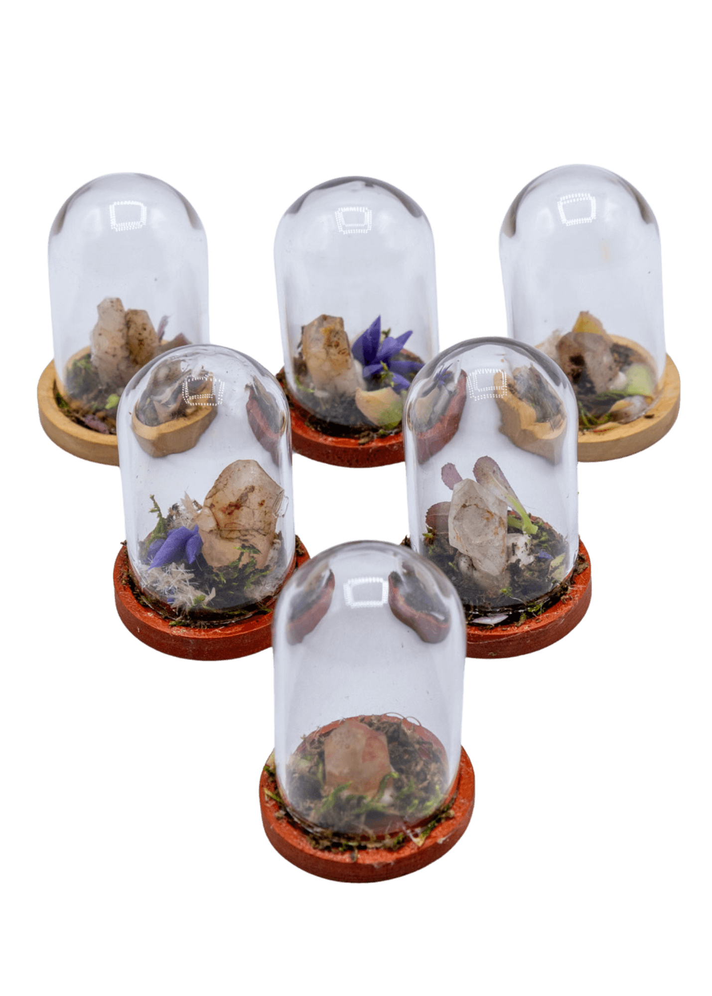 Hematoid Crystal Terrarium in Glass Dome
