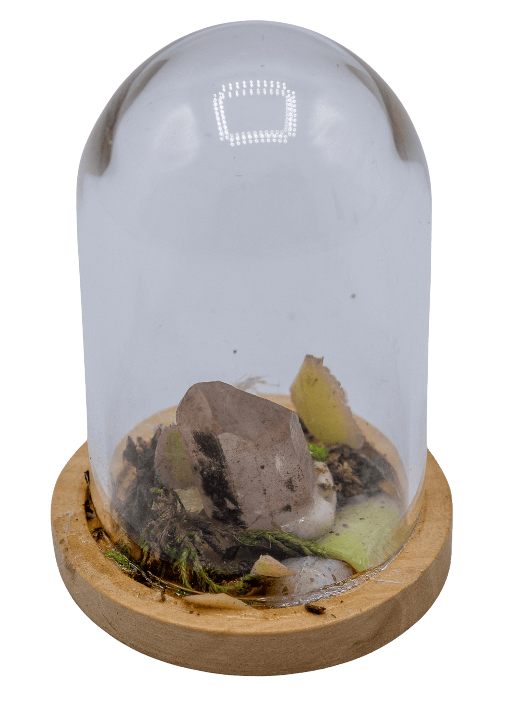 Hematoid Crystal Terrarium in Glass Dome