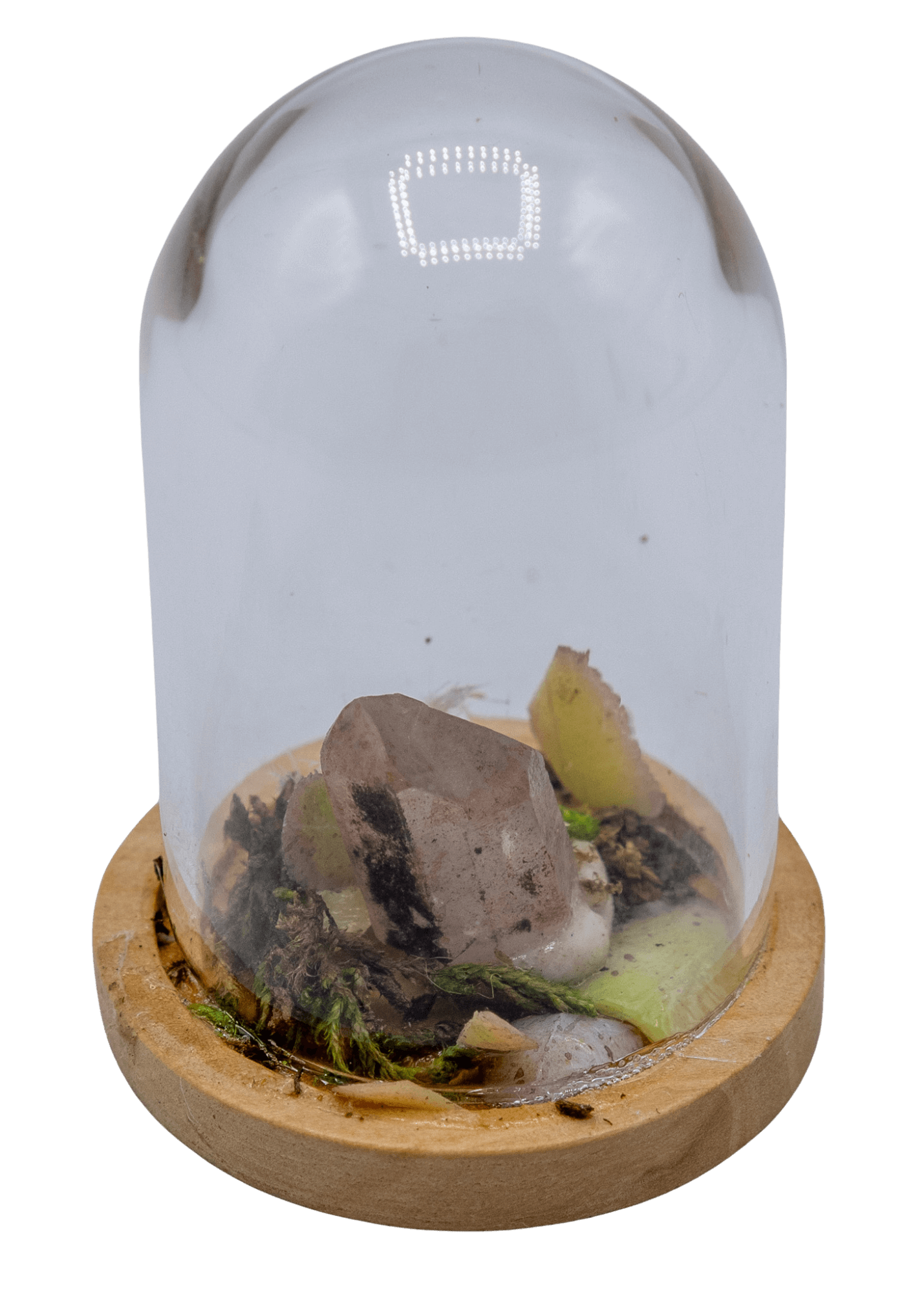 Hematoid Crystal Terrarium in Glass Dome