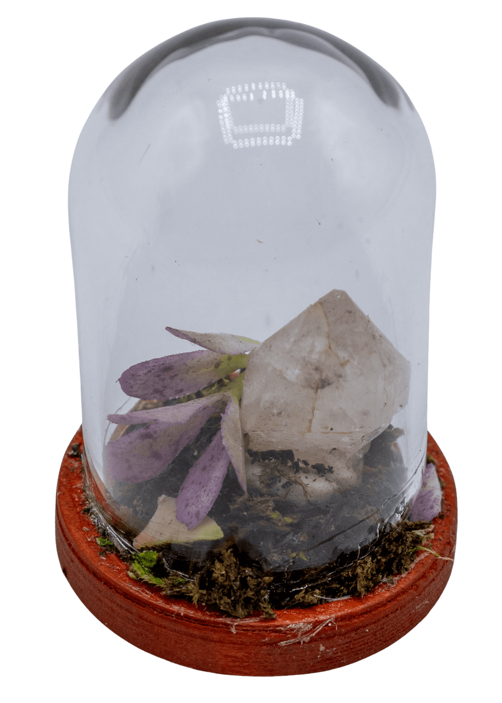 Hematoid Crystal Terrarium in Glass Dome