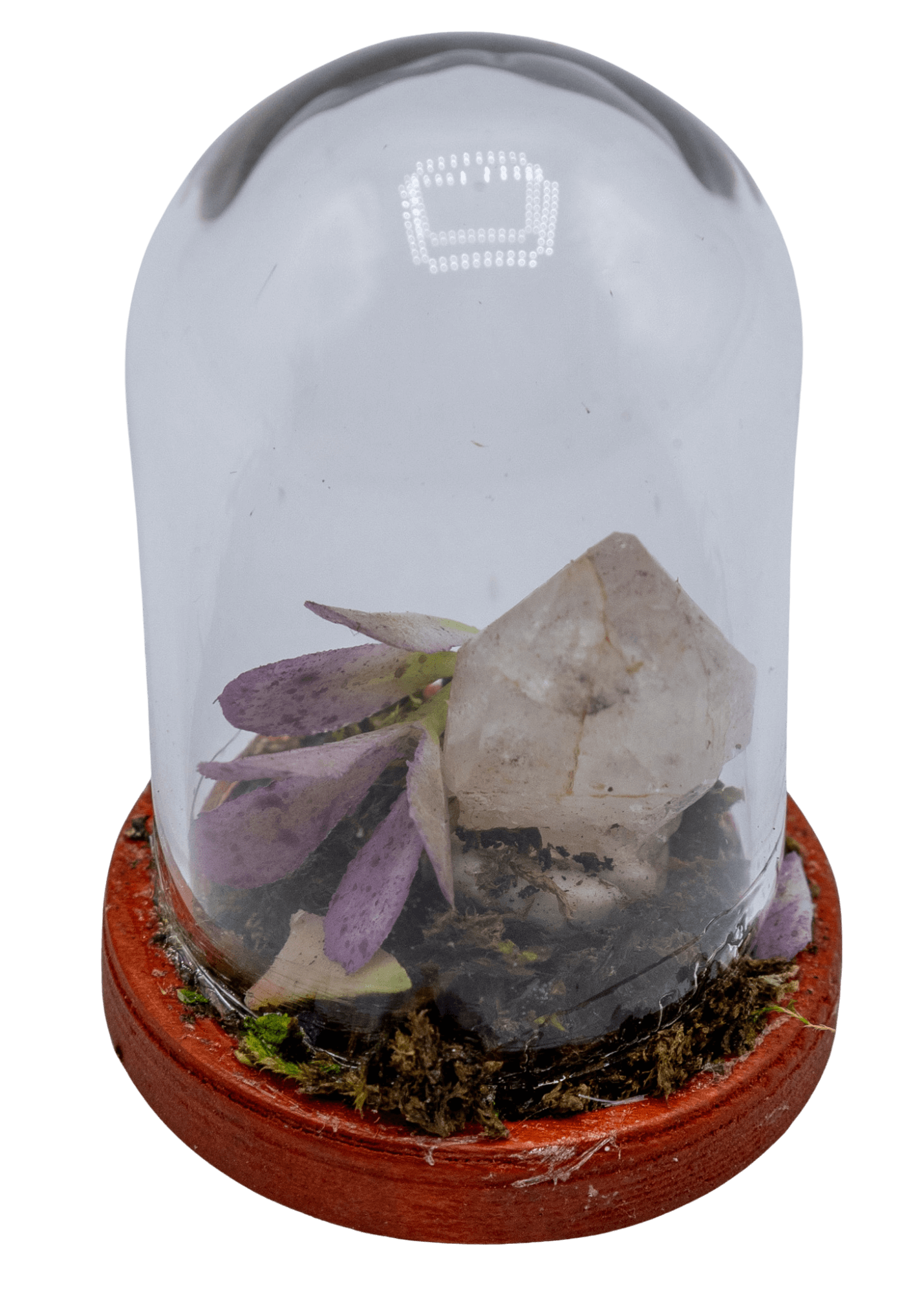Hematoid Crystal Terrarium in Glass Dome