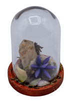 Hematoid Crystal Terrarium in Glass Dome