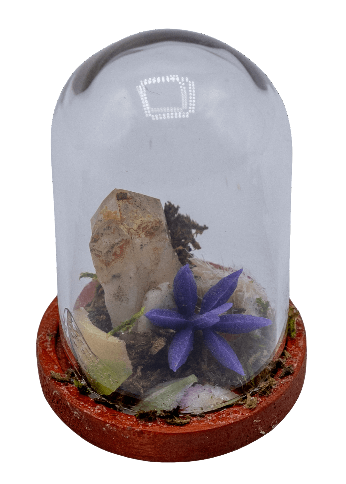 Hematoid Crystal Terrarium in Glass Dome