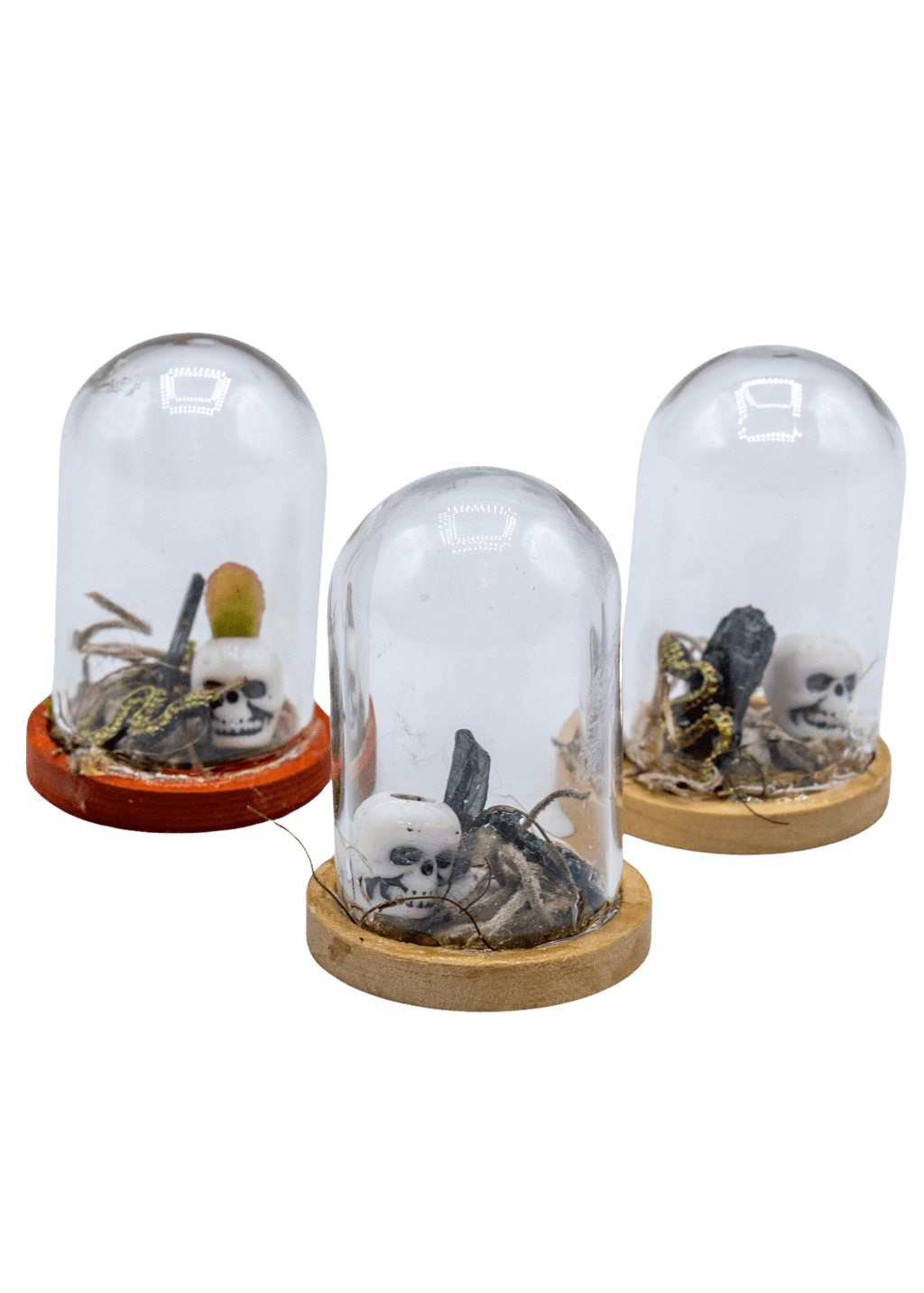 Vivianite Terrarium in Glass Dome