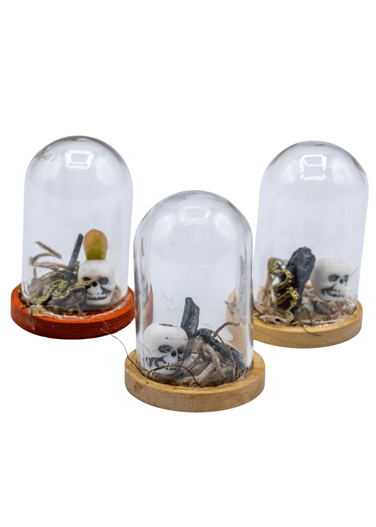Vivianite Terrarium in Glass Dome